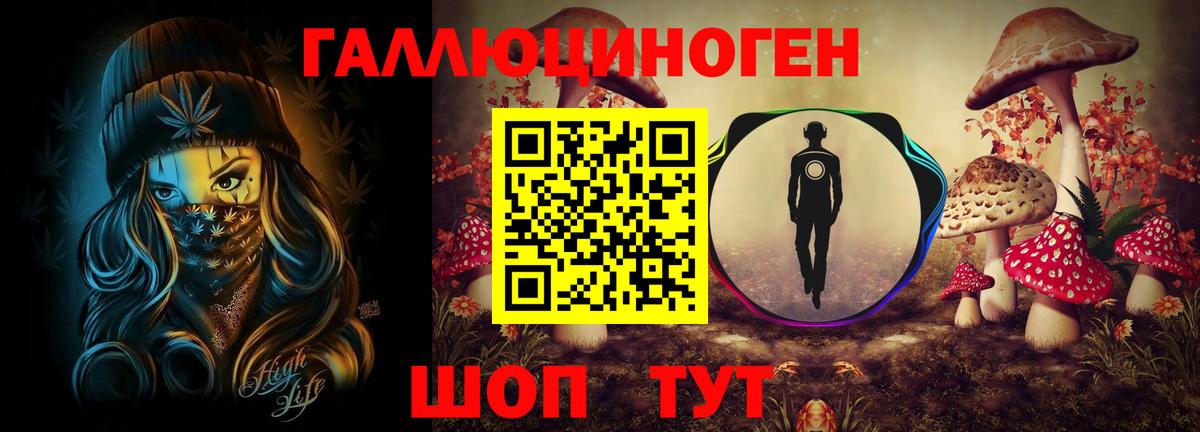 Псилоцибиновые грибы прущие грибы Артёмовский